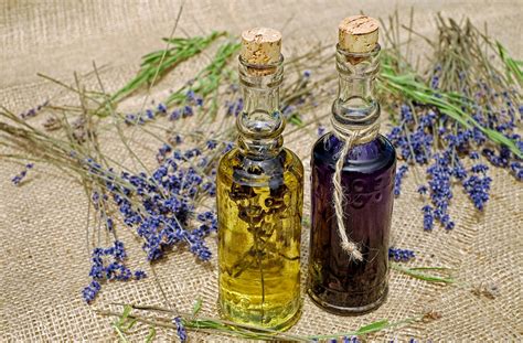 Rosemary for Warding off Evil Spirits: Ancient Folklore and Practices